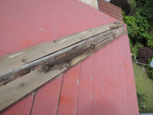 雨漏り修理（屋根と戸袋）